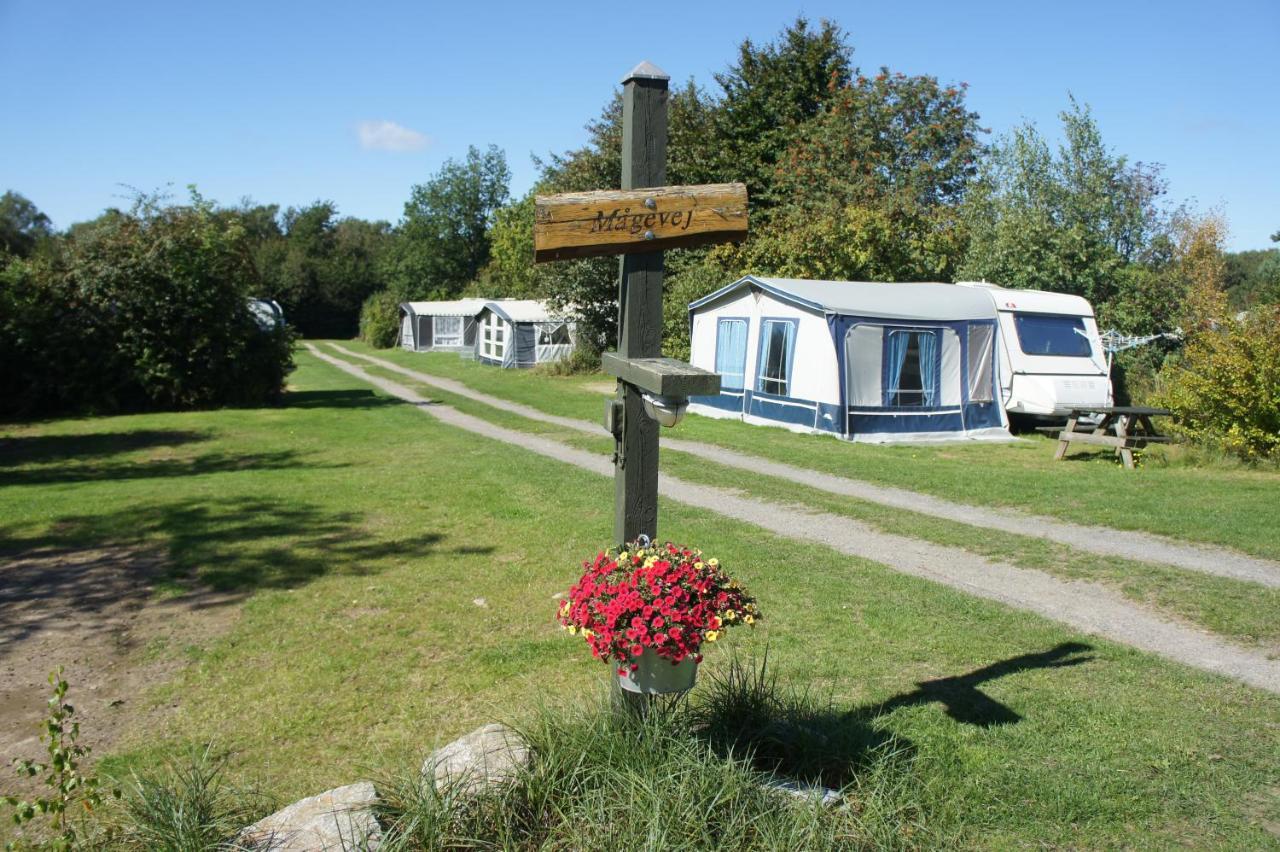 Lyngholt Familiecamping Hotel Allinge-Sandvig Buitenkant foto